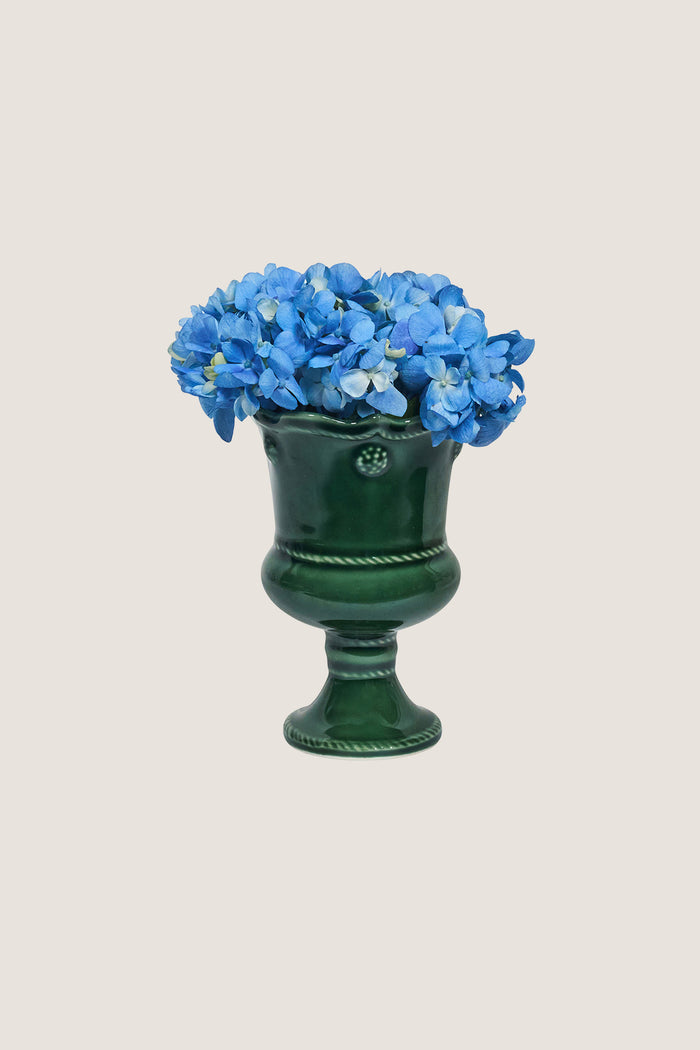 Basil Berry and Thread Petite Parterre Garden 5in Vase