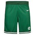 Nike Basketball Ireland Official 2026 Kids Home Shorts