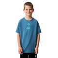 Canterbury IRFU Rugby Ireland 2026 Kids Elite Training Tee