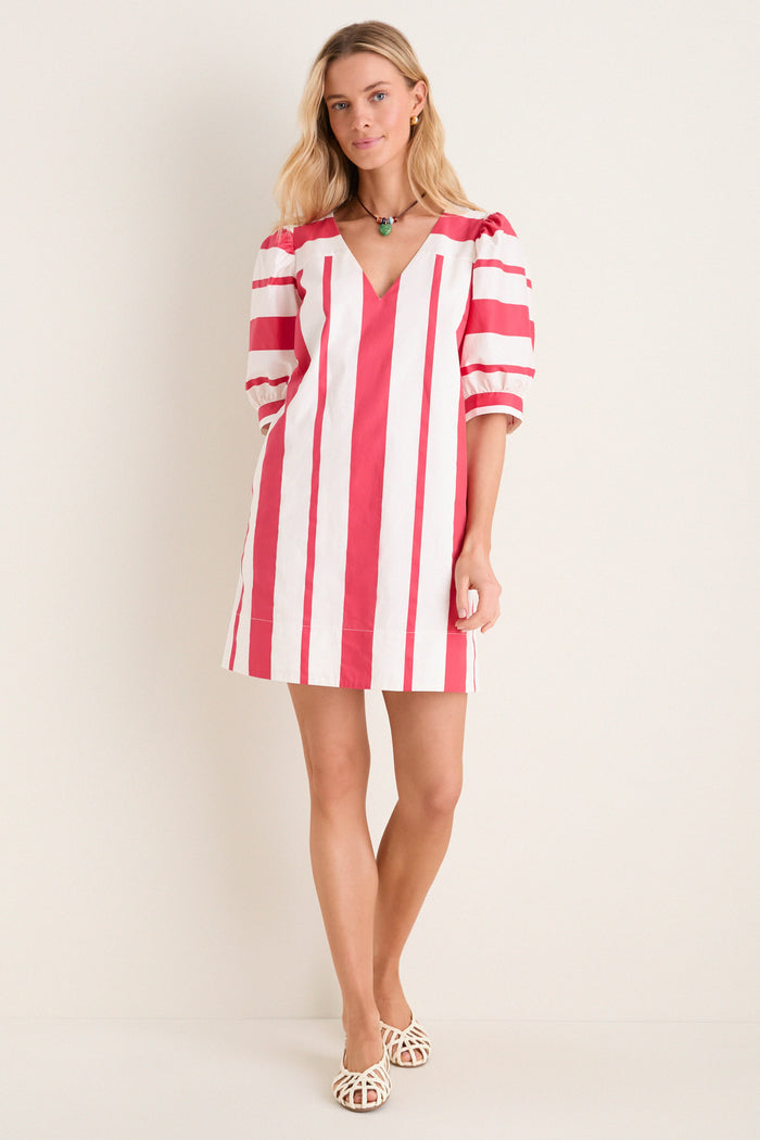 Carousel Stripe Mica Mini Dress