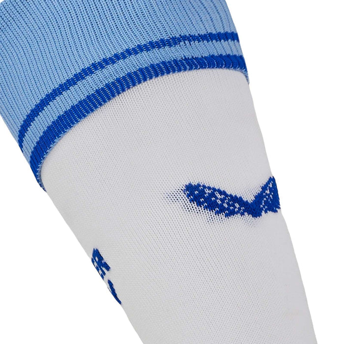 Castore Leinster 2024/25 Away Socks