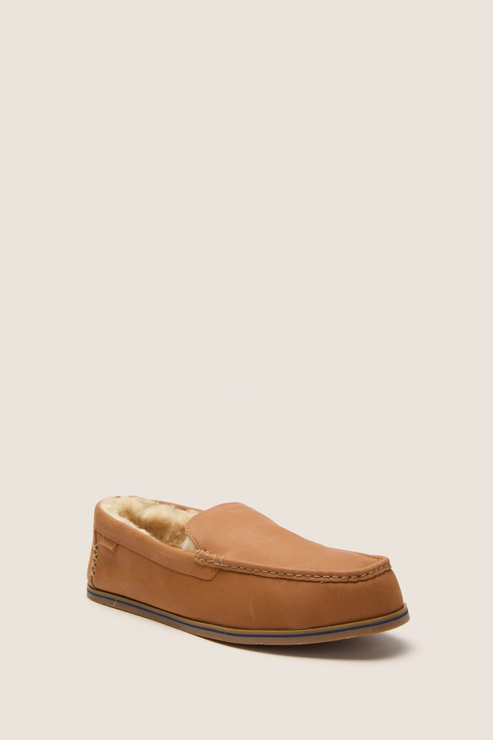 Chestnut Hacienda LX