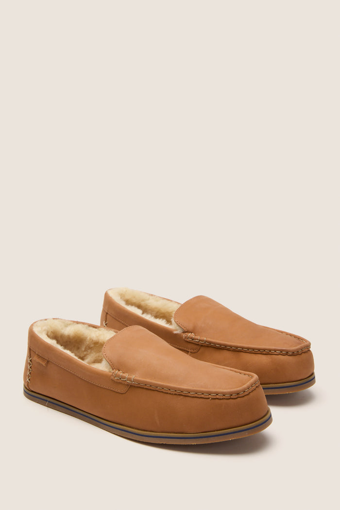 Chestnut Hacienda LX