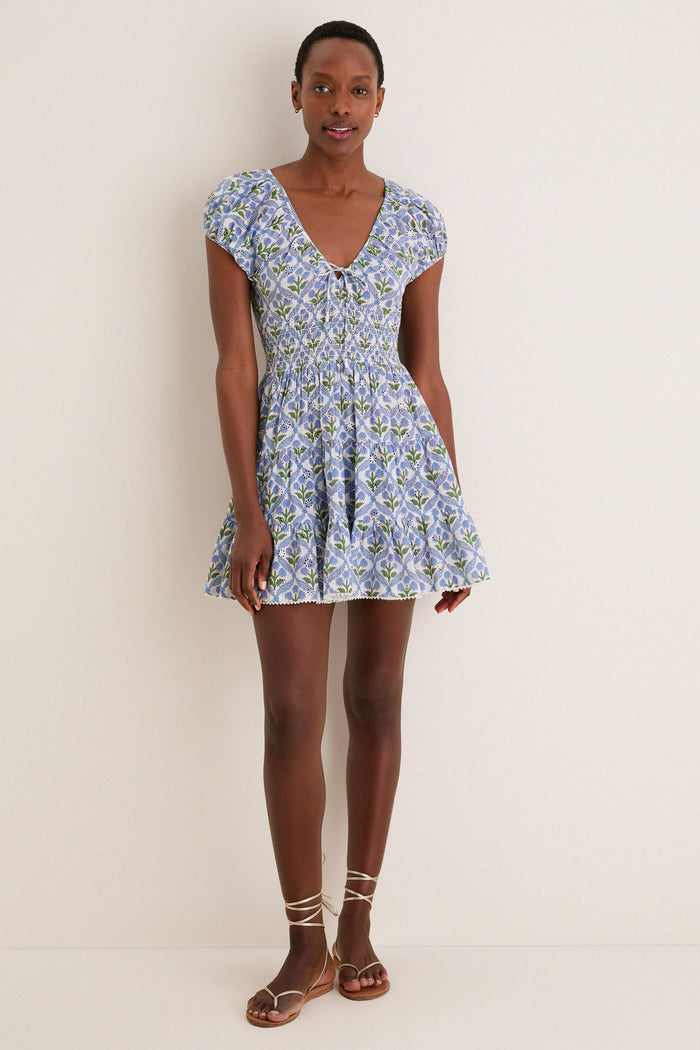 Cornflower Asterid Mini Dress