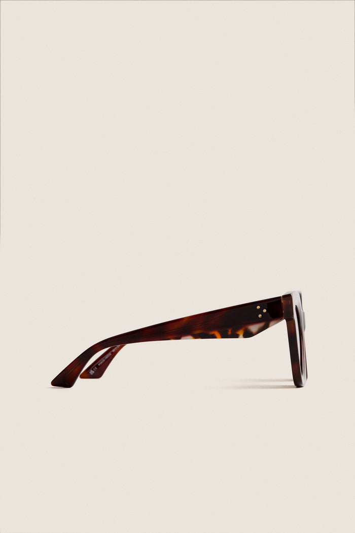 Dark Tortoise Capri Sunglasses