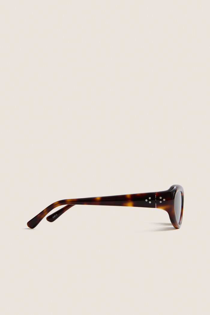 Dark Tortoise Robyn Sunglasses