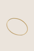 High Polish Gold Dane Anklet