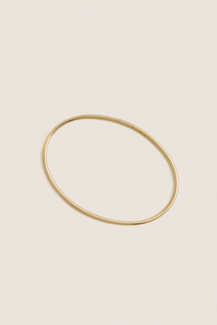 High Polish Gold Dane Anklet