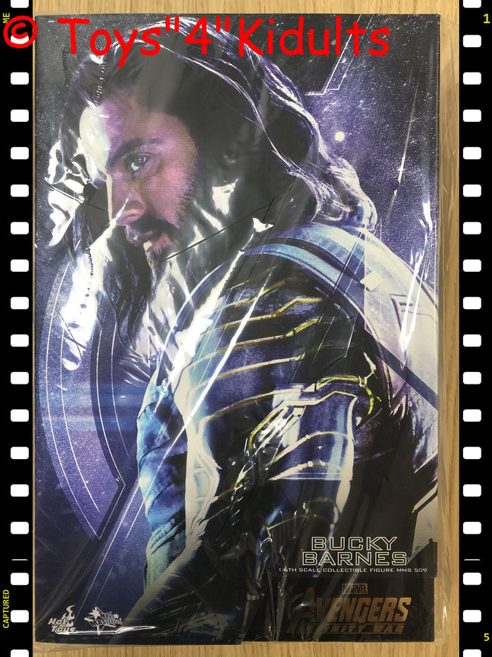 Hottoys Hot Toys 1/6 Scale MMS509 MMS 509 Avengers 3: Infinity War - Bucky Barnes Action Figure NEW