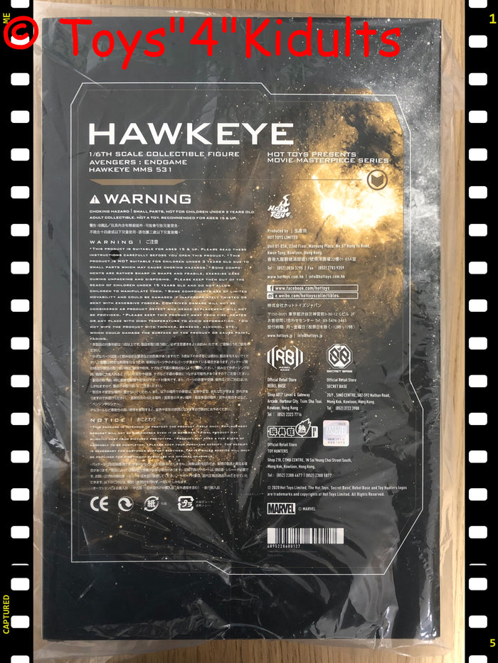 Hottoys Hot Toys 1/6 Scale MMS531 MMS 531 Avengers Endgame Hawkeye Jeremy Renner Action Figure NEW