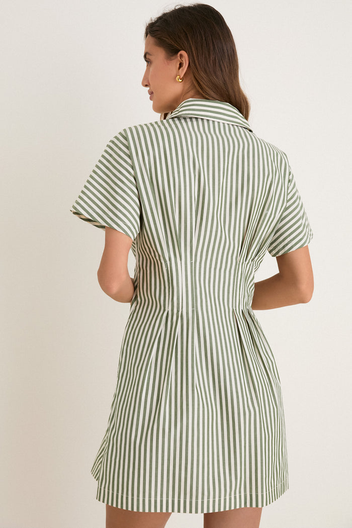 Jardin Stripe Cotton Poplin Mini Callie Dress