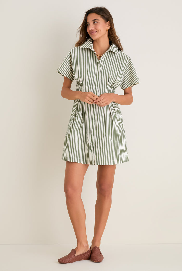 Jardin Stripe Cotton Poplin Mini Callie Dress