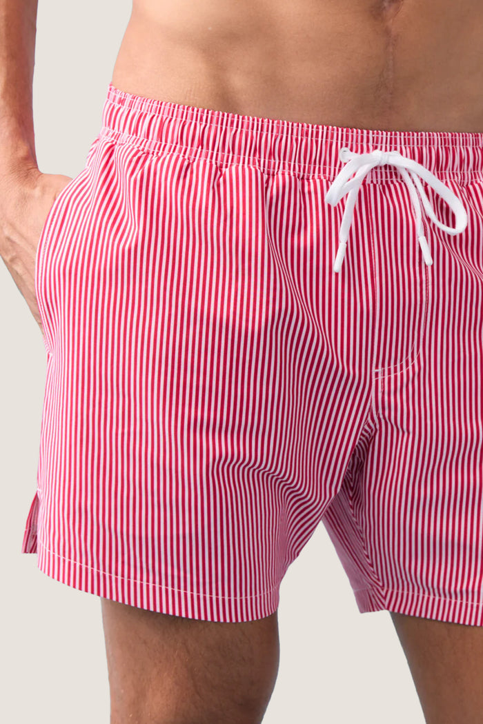 Men's Gondola Stripe Boardie