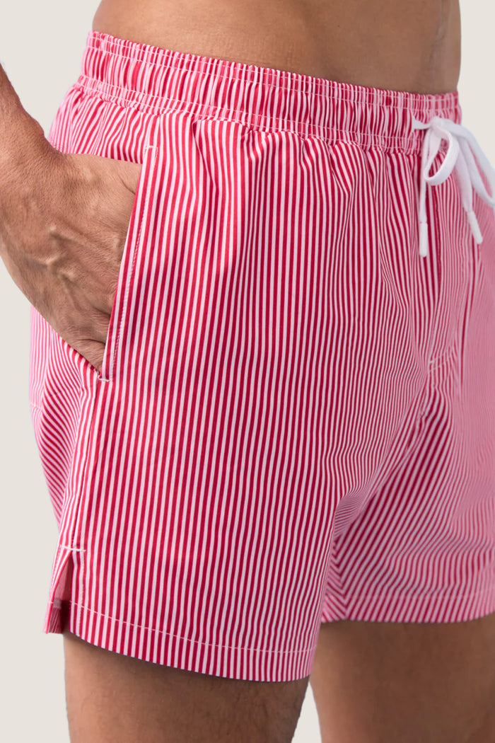 Men's Gondola Stripe Boardie