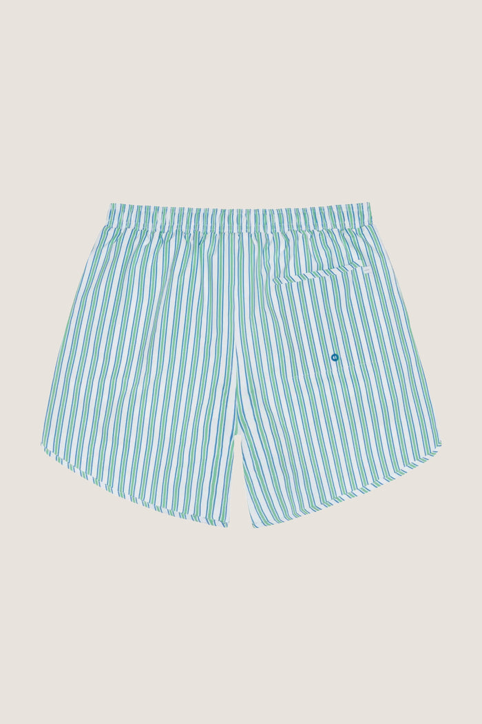 Men's Tamarin Stripe Boardie
