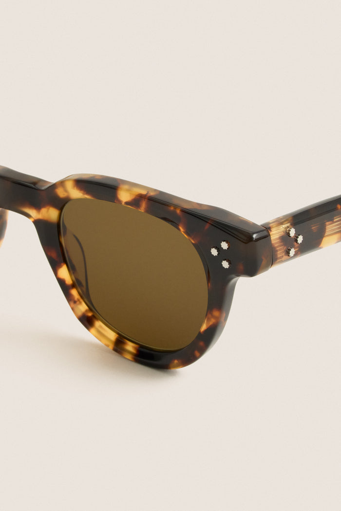 Nikko Tortoise Devon Sunglasses
