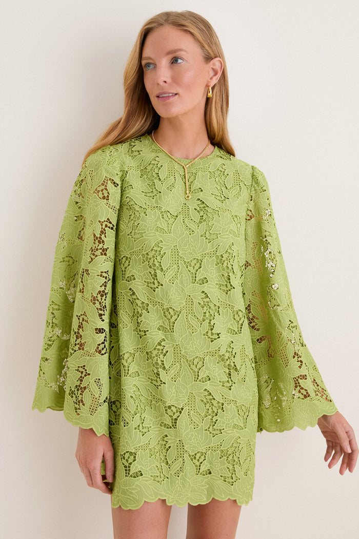 Olive Lace Livvy Mini Dress