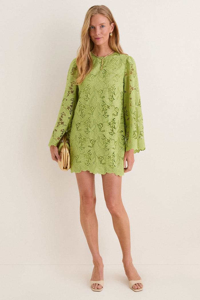 Olive Lace Livvy Mini Dress