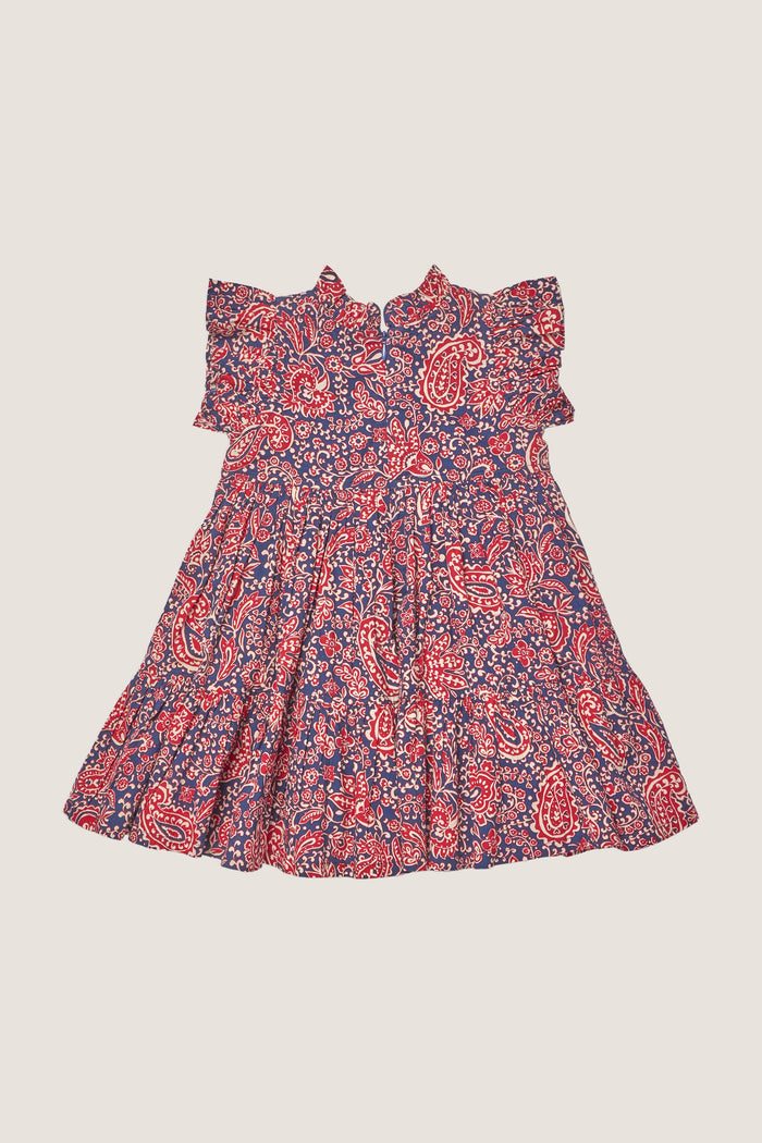 Paisley Vines Jennifer Dress