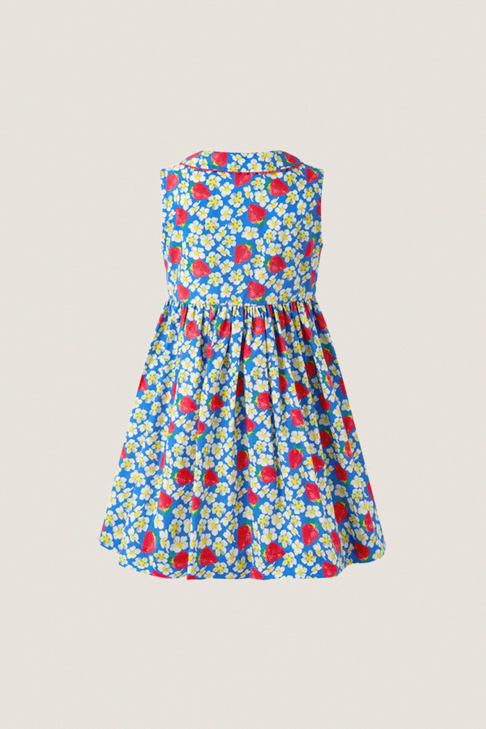 Strawberry Blossom Dress