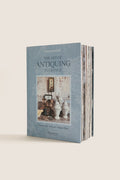 The Art of Antiquing in France