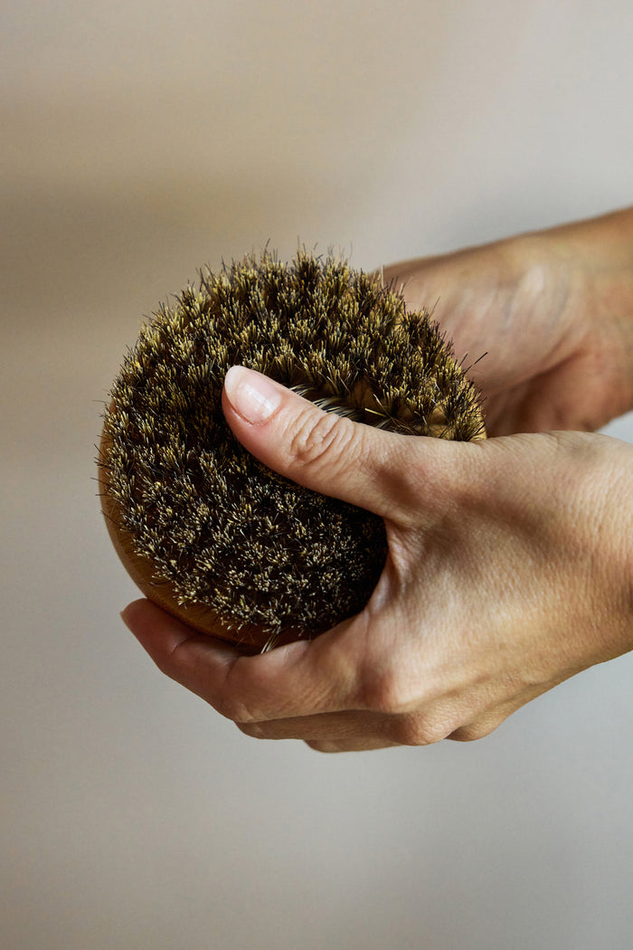 The Dry Brush