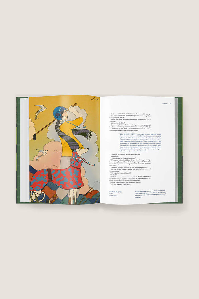 The Great Gatsby Art Novel