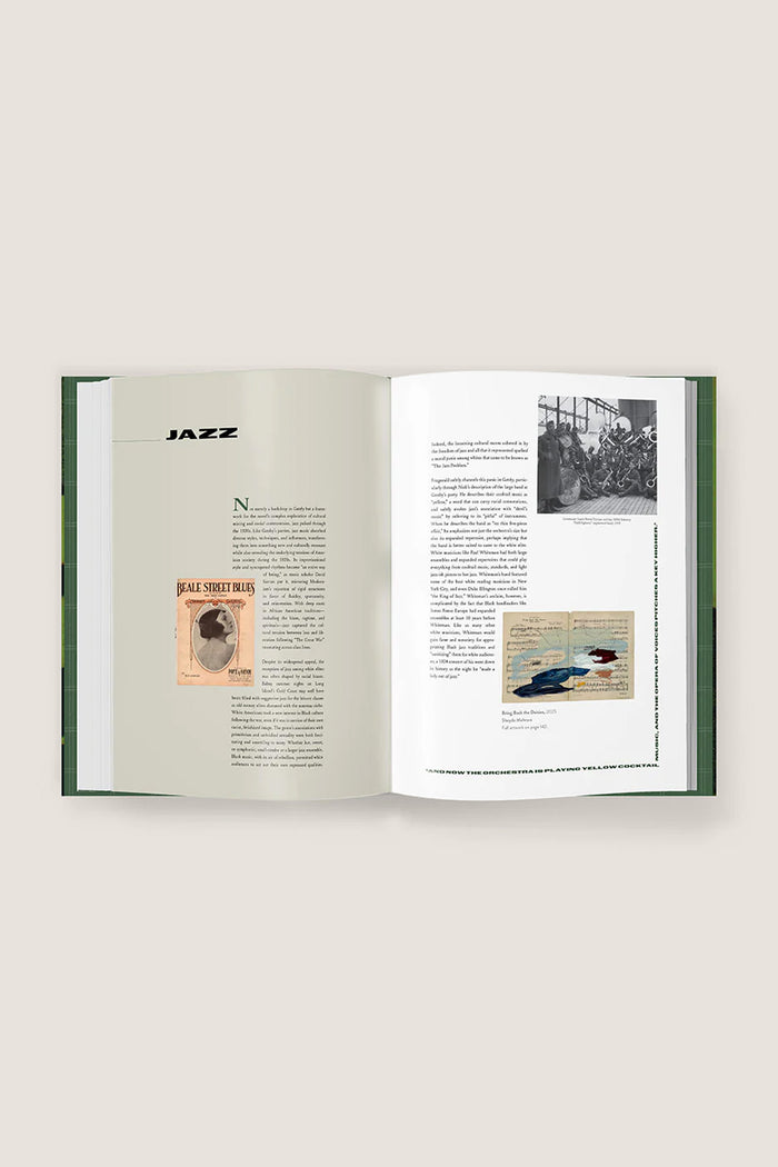 The Great Gatsby Art Novel