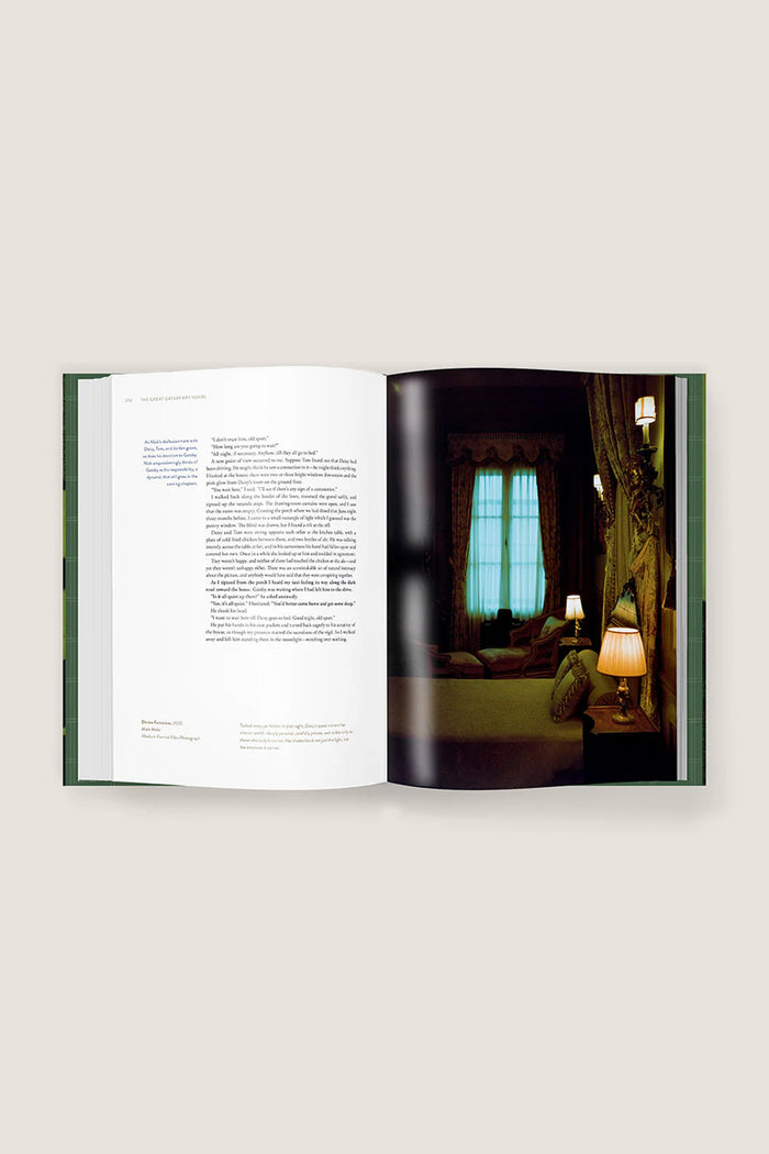 The Great Gatsby Art Novel
