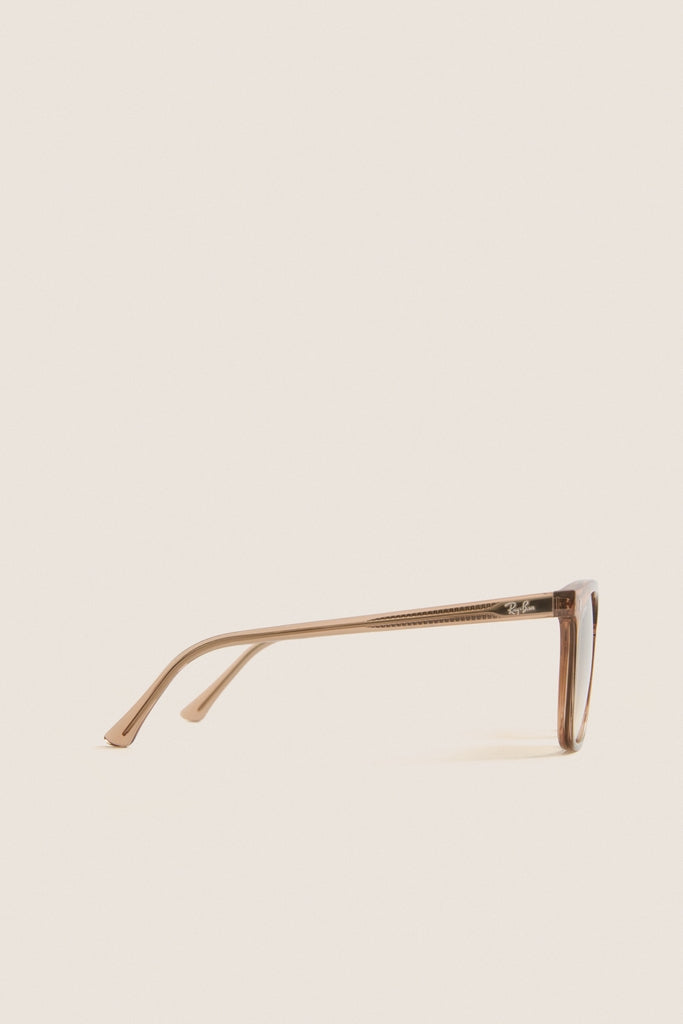 Transparent Brown RB2210 Sunglasses