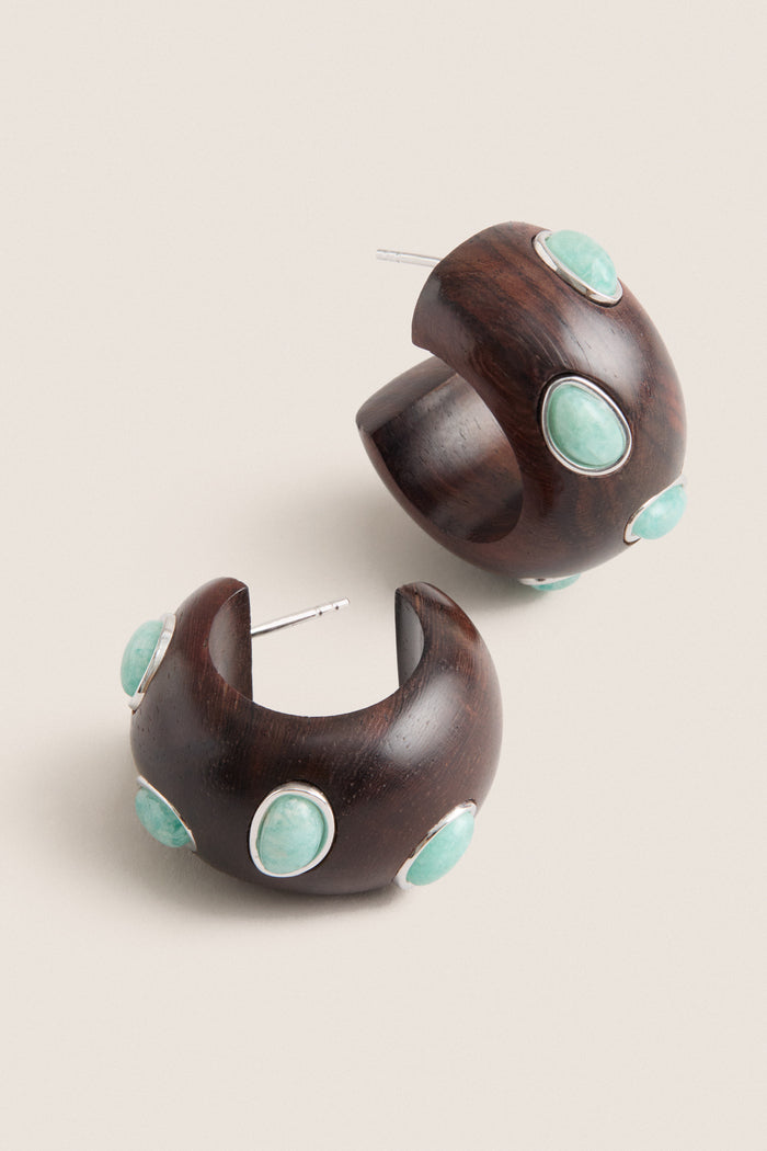 Tuckernuck x Lizzie Fortunato Amazonite Acacia Earrings